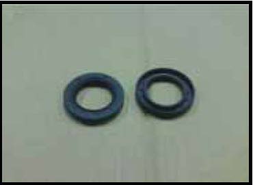 Oil Seal